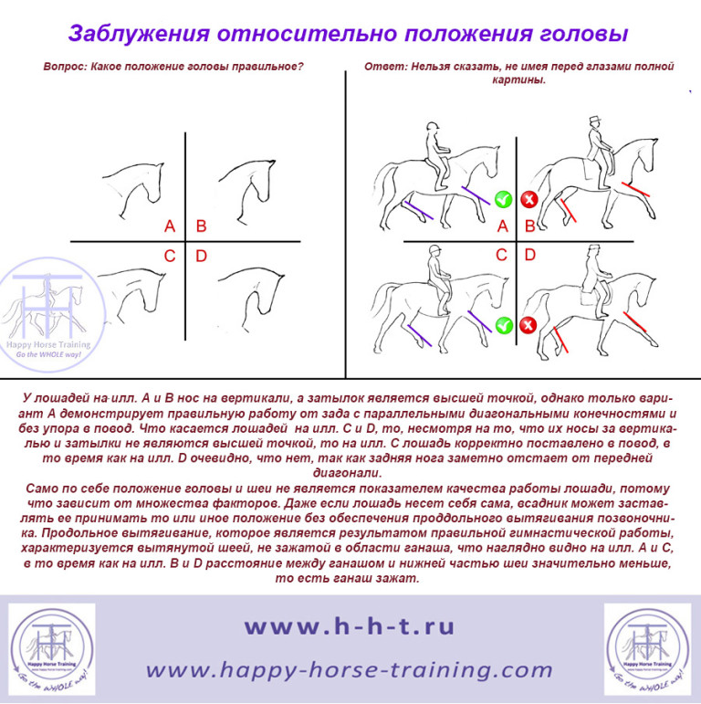 Относительное расположение частей тела