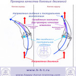diagrams_lateral_work-ru