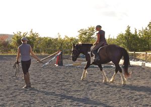 lunging_a_horse_first_riding