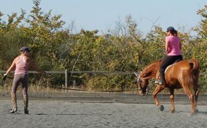 lunging_a_horse_lesson